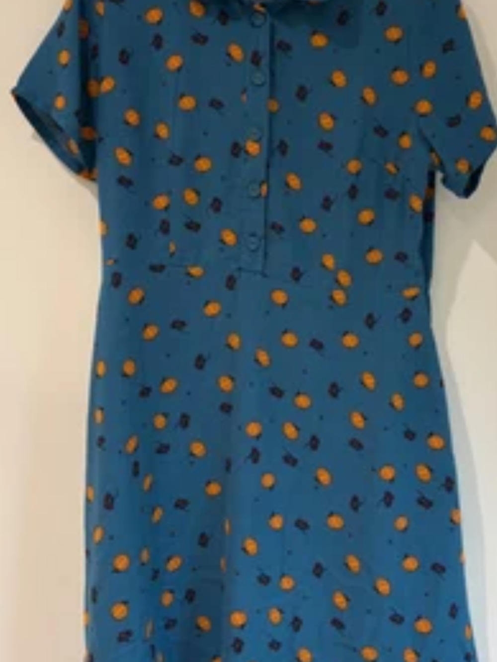 Blue Pumpkin Print Button-Front Dress - Picture 3 of 5